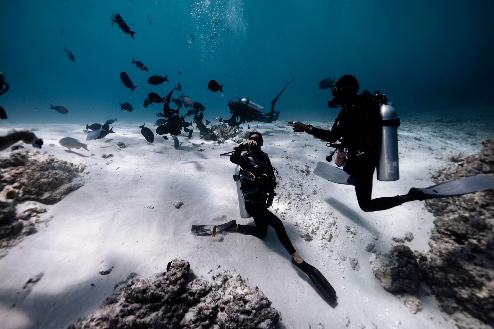 Fuvahmulah Explorer — 10 Scuba Dive Package, Shark Island Dive Center Maldives