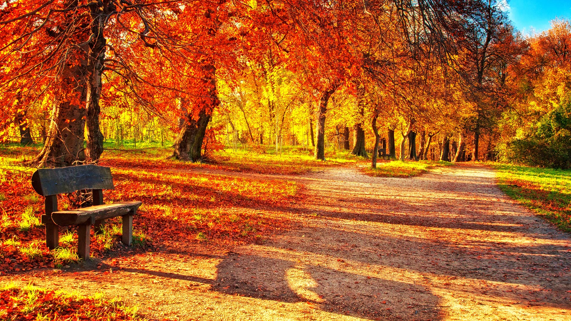 Het ritme van de herfst