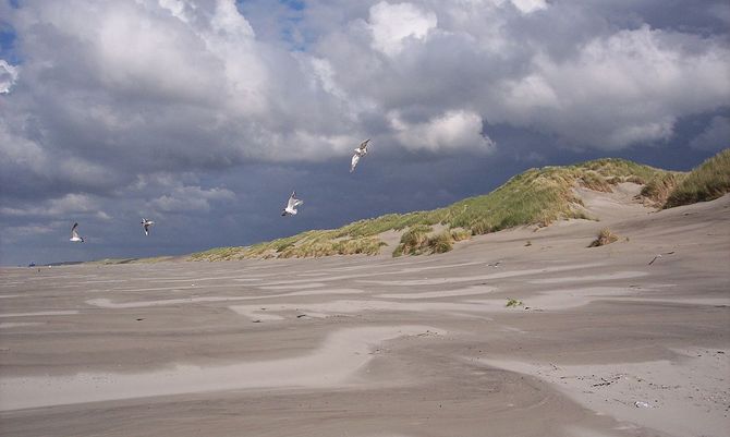 Leven op het ritme van de natuur