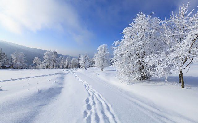 winterlandschap met voetspoor