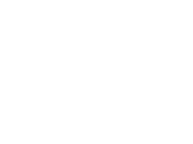 Bus Party Miami logo