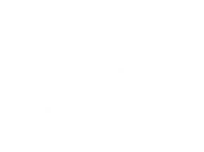 Bus Party Miami logo
