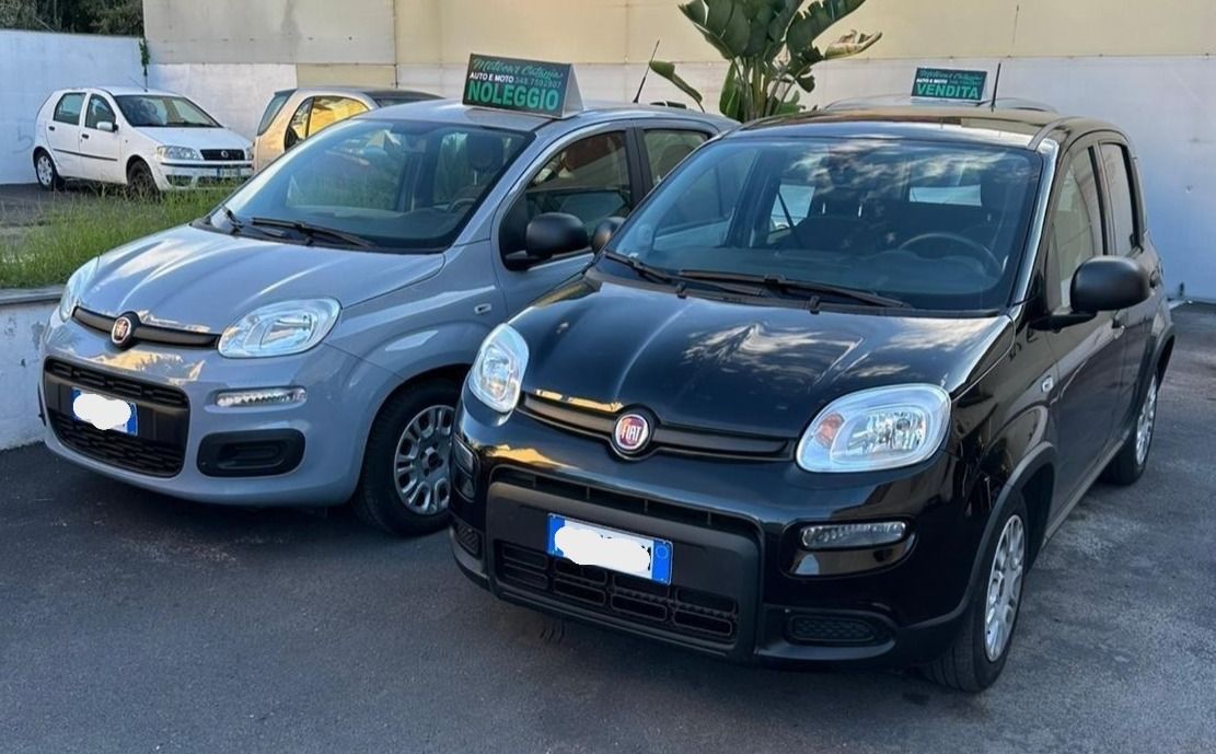 Due Fiat Panda parcheggiate all'aperto: una grigia e una nera.