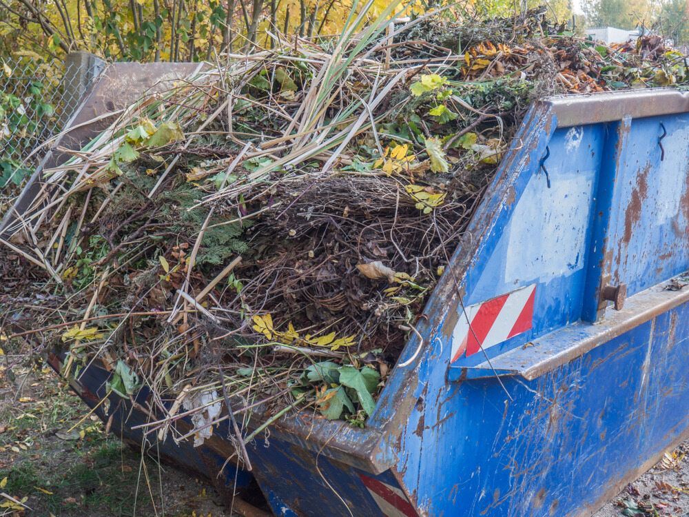 Blue Dumpster Filled With Yard Waste; Leaves, Branches, and Twigs, Outdoors — Hasti Skips in Bangalow, NSW