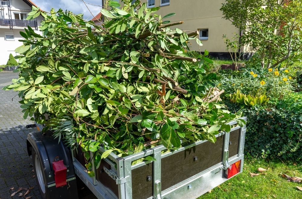 A Trailer Overflowing With Green Leafy Branches, Likely Yard Waste — Hasti Skips in Bangalow, NSW