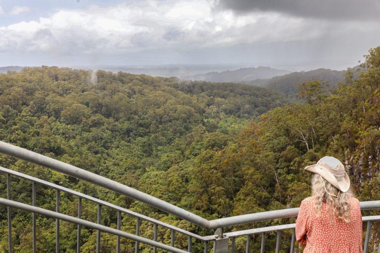 Woman in a Hat Looks Out Over a Lush Green Rainforest From a Metal Railing on a Cloudy Day — Hasti Skips in Alstonville, NSW