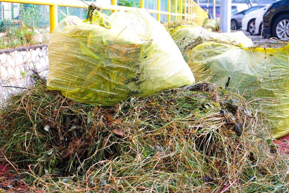 Yellow Bags Filled With Yard Waste Sit on a Pile of Grass and Debris Outdoors — Hasti Skips in Byron Bay, NSW