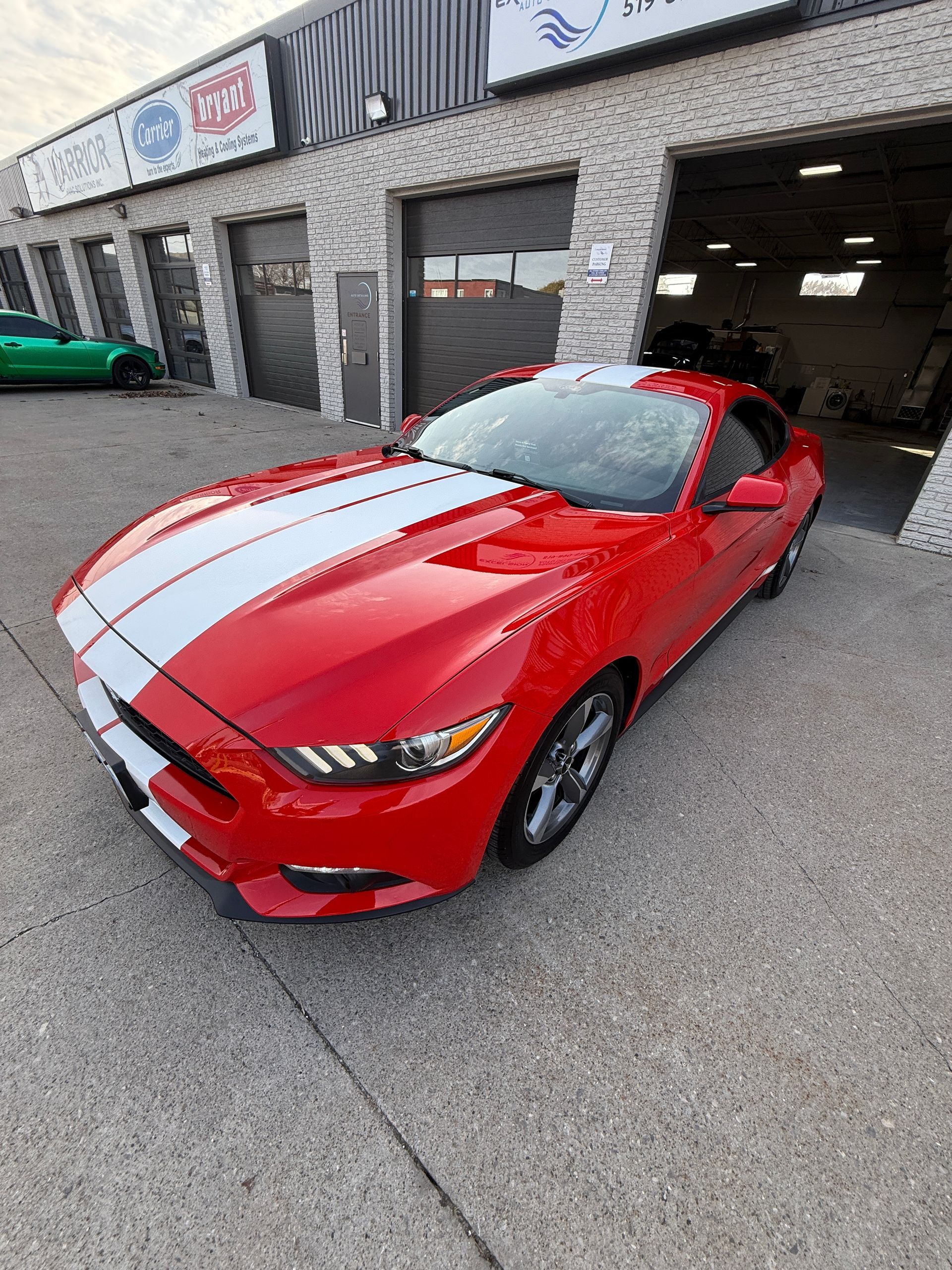 2015 Ford Mustang V6 | 5 Year Ceramic Coating | Excelsior Auto Detailing Windsor, ON