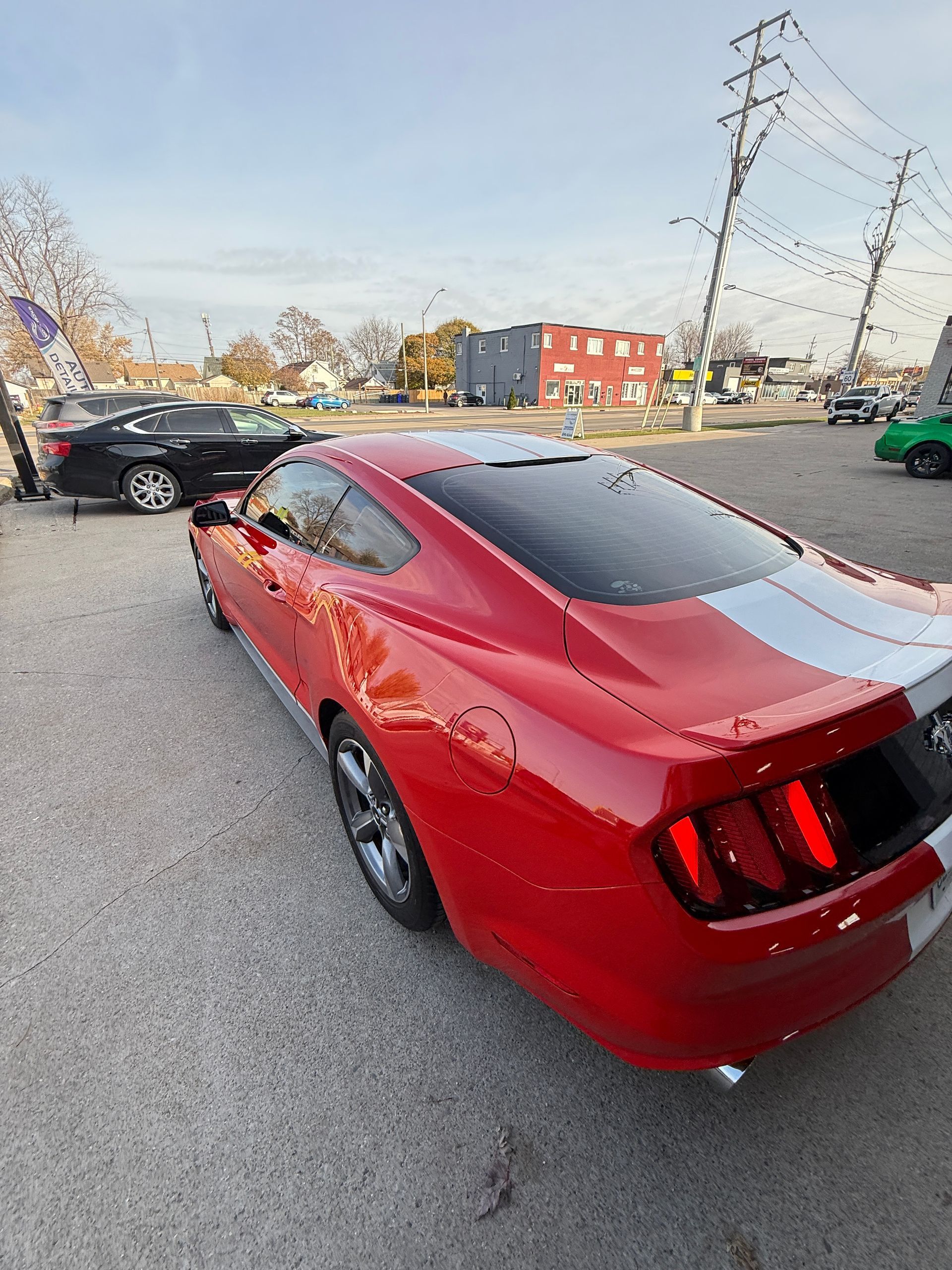 2015 Ford Mustang V6 | 5 Year Ceramic Coating | Excelsior Auto Detailing Windsor, ON