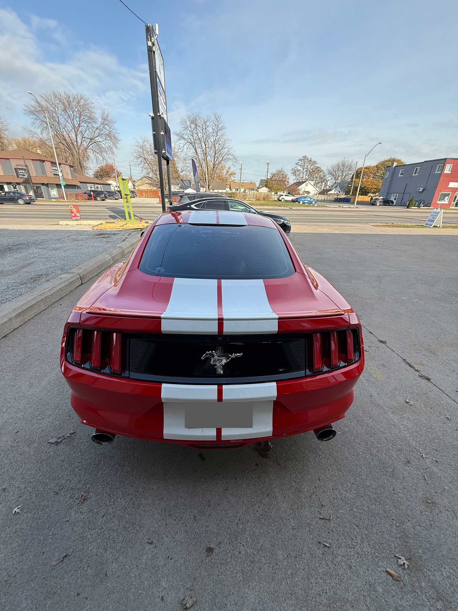2015 Ford Mustang V6 | 5 Year Ceramic Coating | Excelsior Auto Detailing Windsor, ON