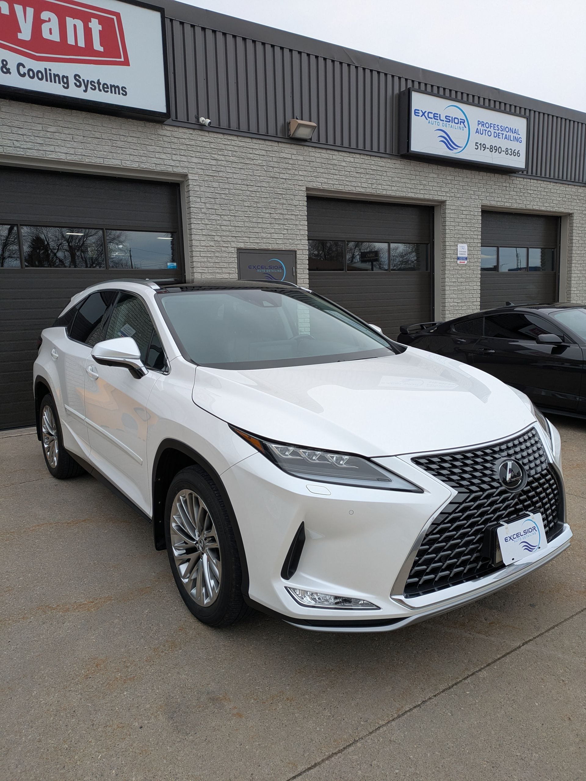 2021 Lexus RX 350 | 7 Year Ceramic Coating | Excelsior Auto Detailing Windsor, ON