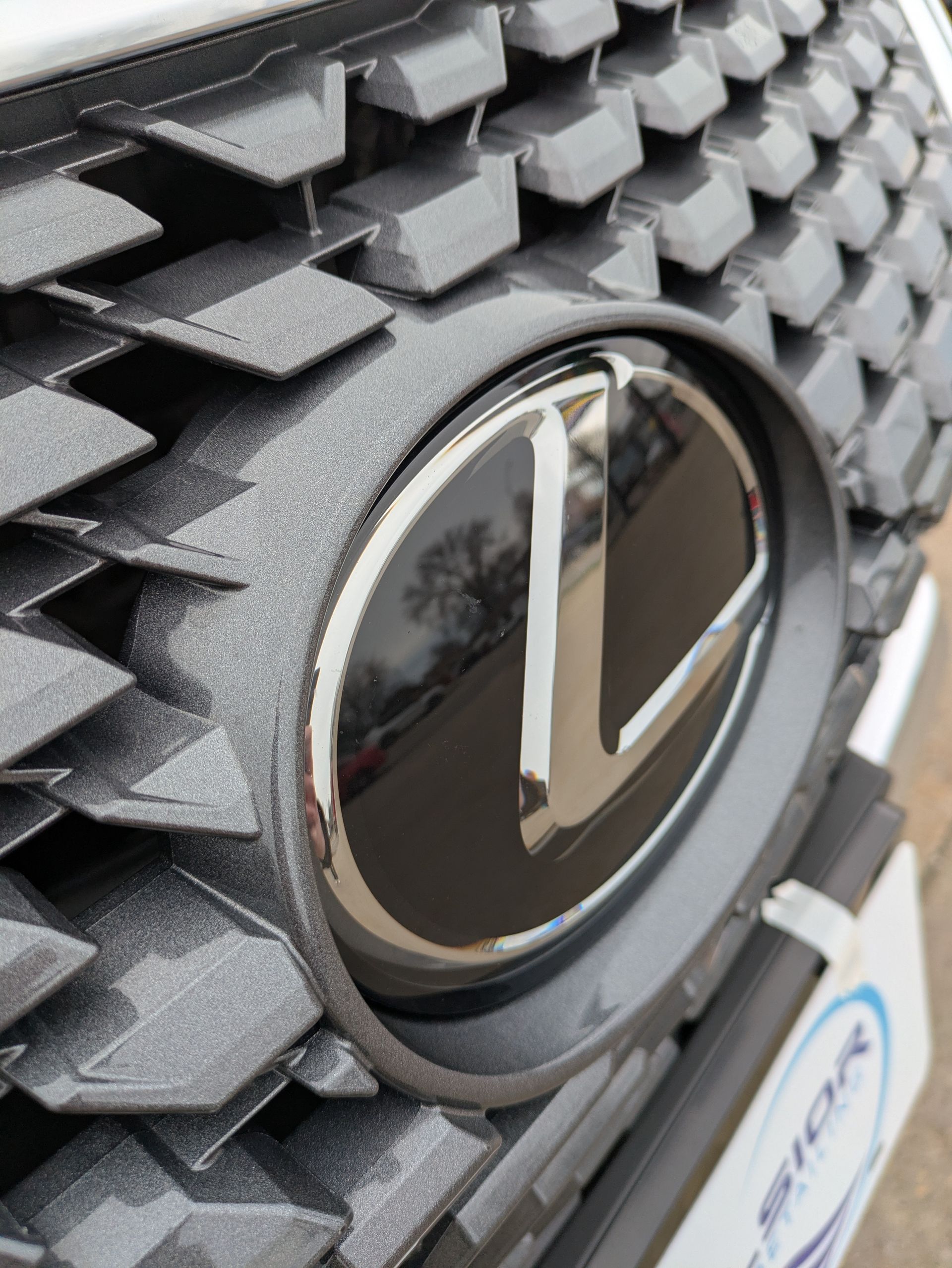 2021 Lexus RX 350 | 7 Year Ceramic Coating | Excelsior Auto Detailing Windsor, ON