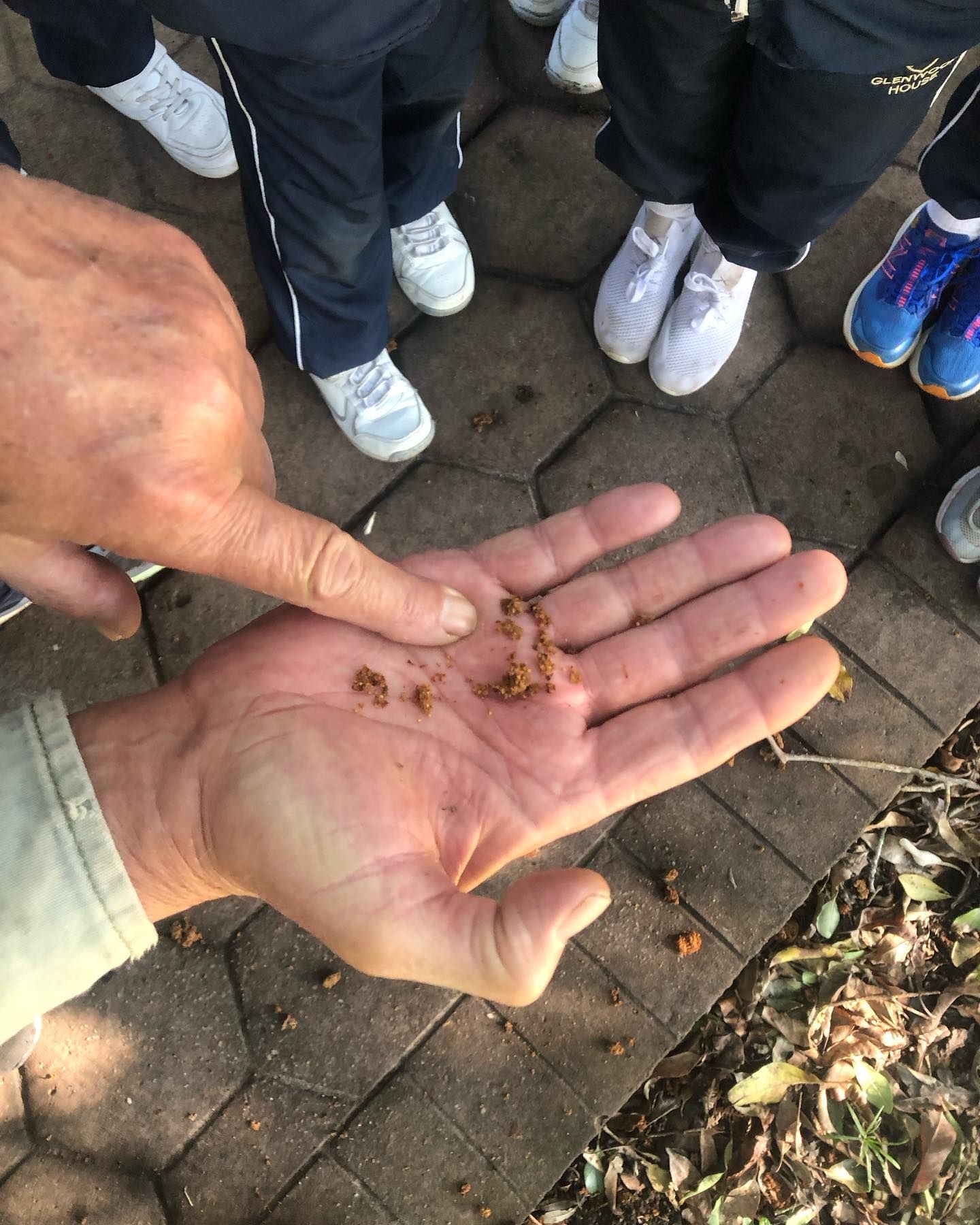 Rewilding : Help us preserve nature