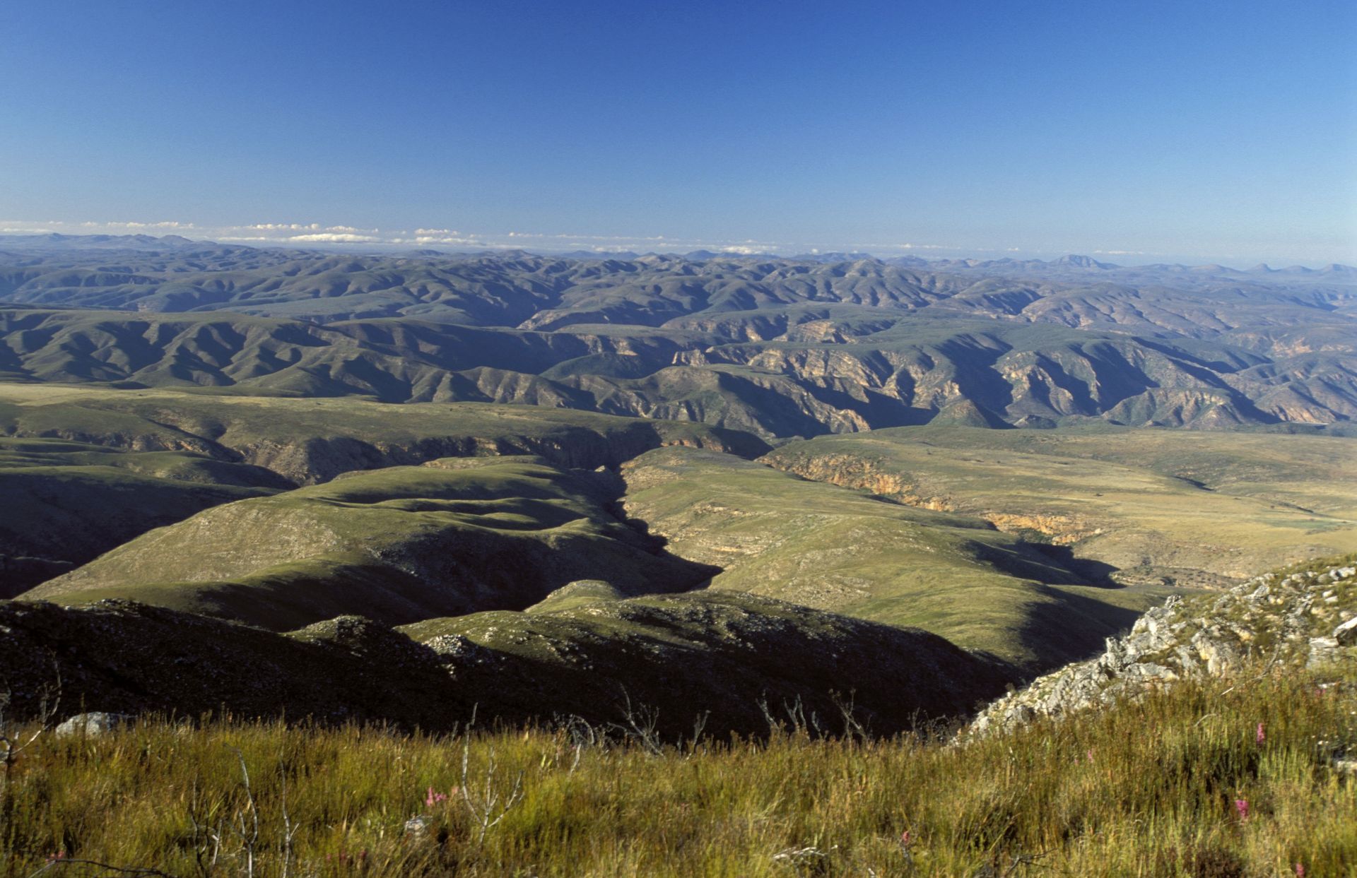 Rolling green hills and canyons under a clear blue sky.