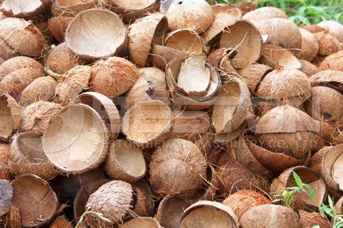 Carbonize Coconut Shell