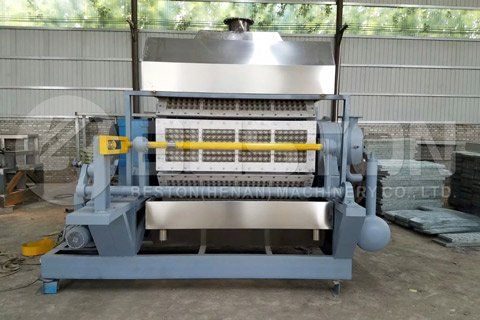 Egg Tray Making Machine for Sale