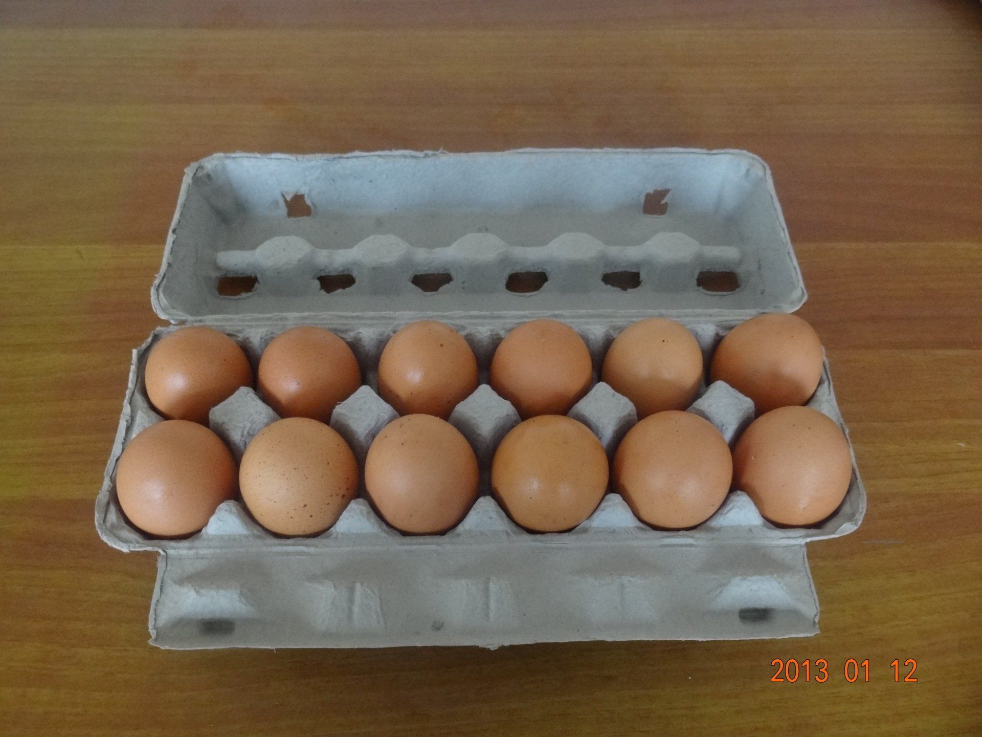 Use Beston Egg Carton Making Machine to Make Egg Tray