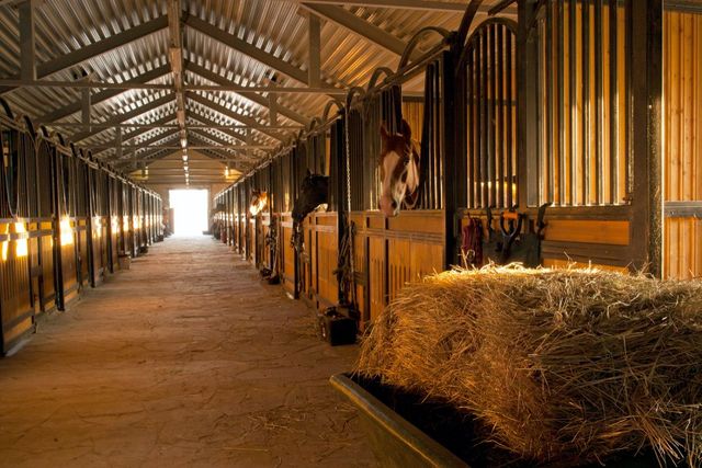 Horse Stables Inside Rockwood Stall Series Durable & Customizable