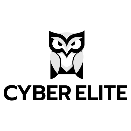 logo-anyi-client-cyber-elite