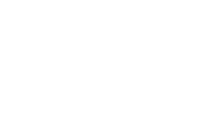 anyi-logo