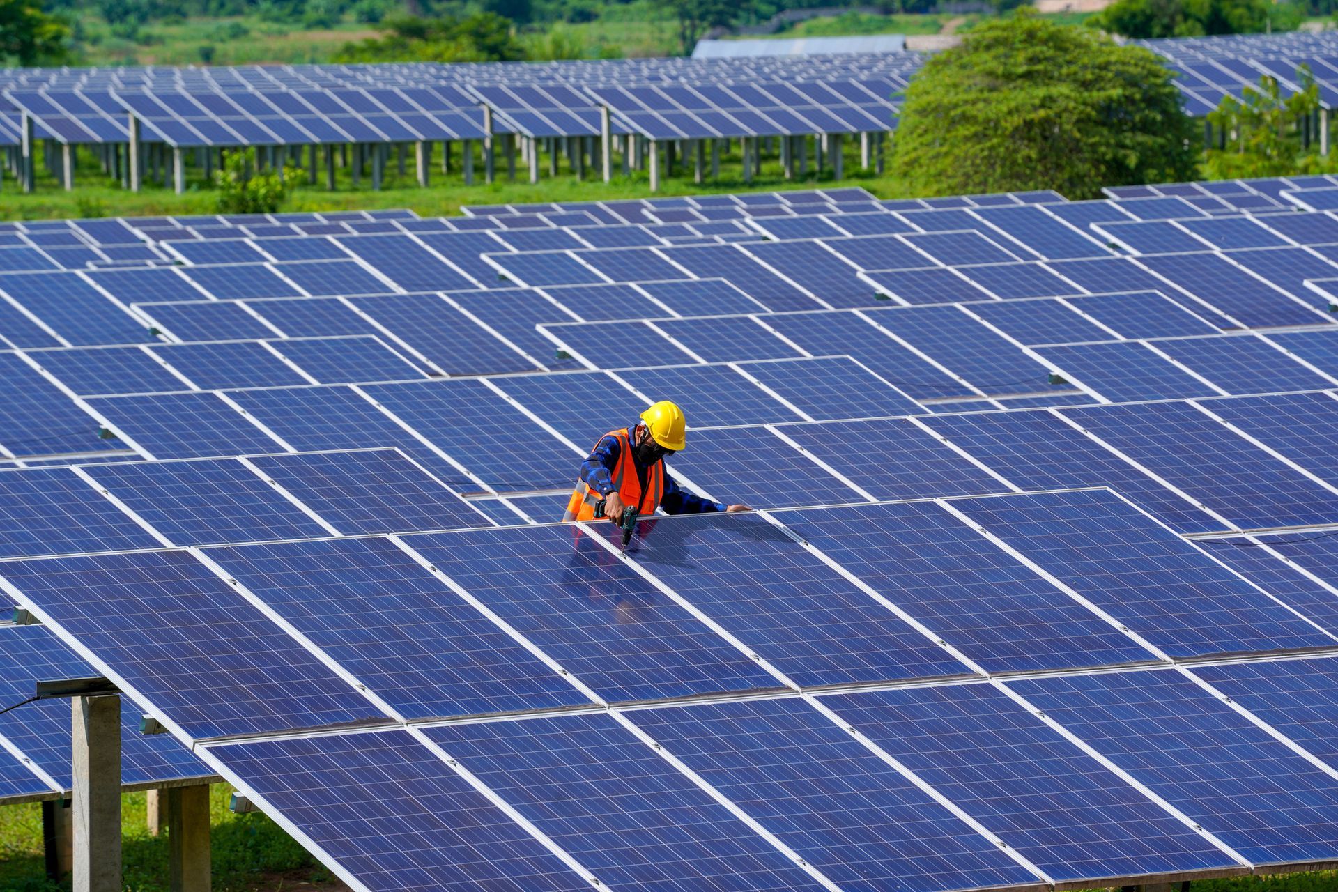 rappresentazione diritto di famiglia