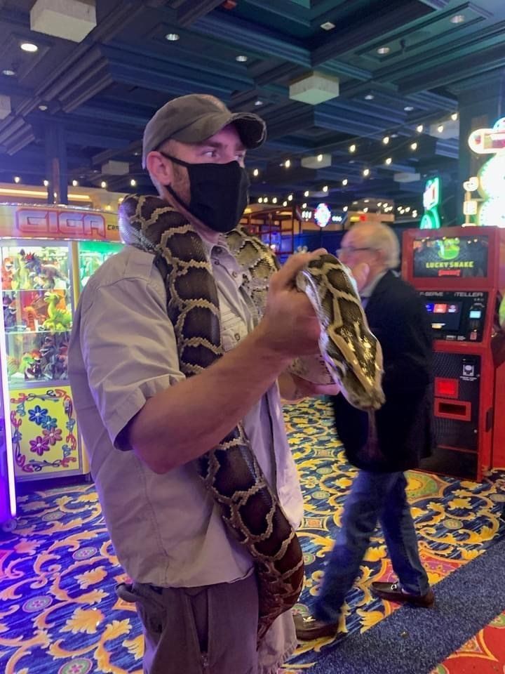 A man wearing a mask is holding a large snake in a casino.