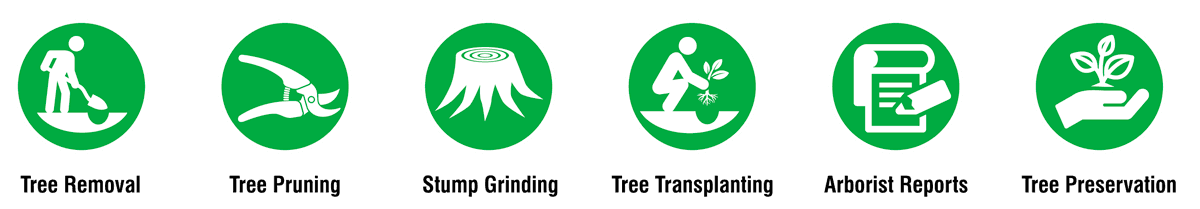 tree-symbols
