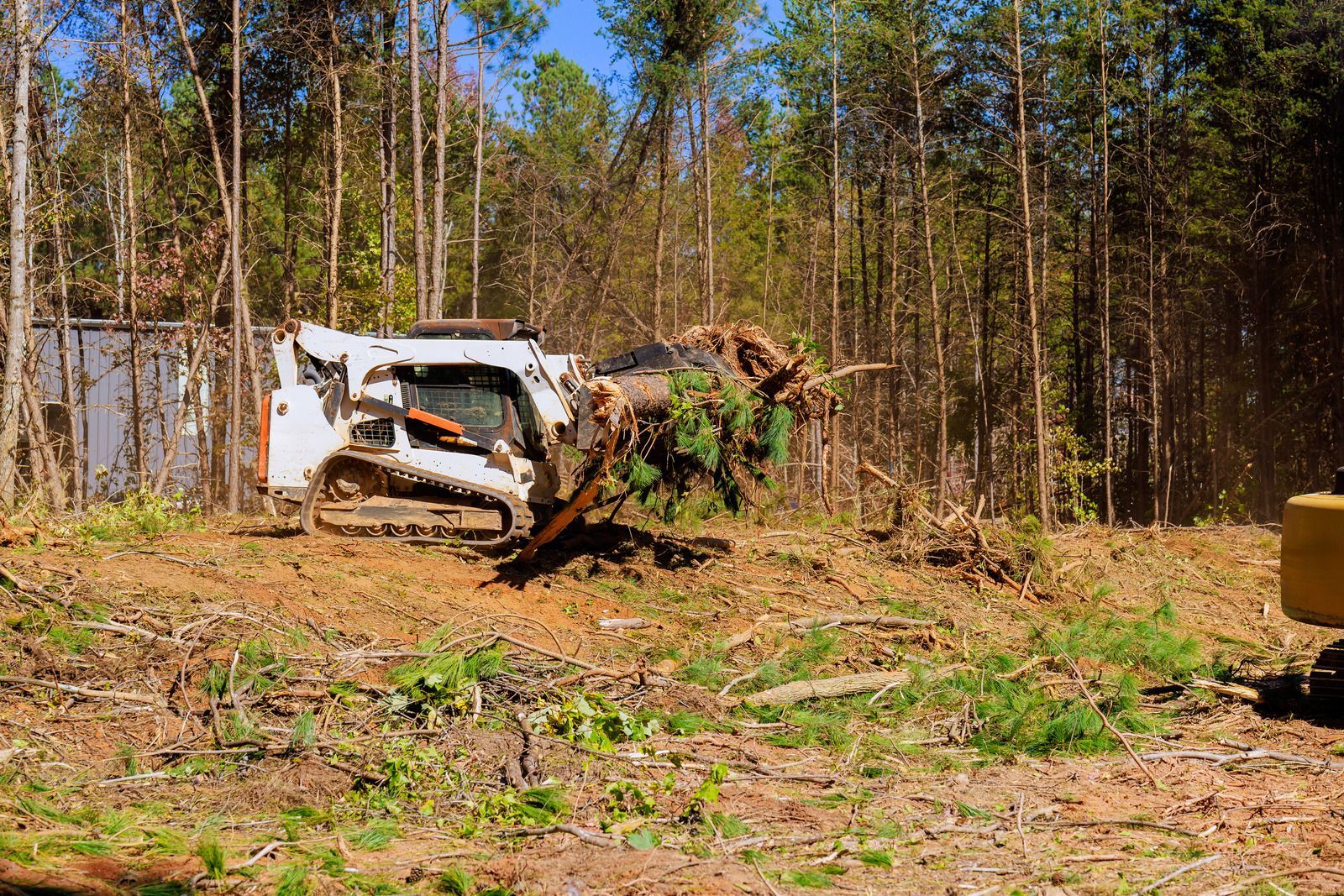 A bulldozer is cutting down trees in the woods.