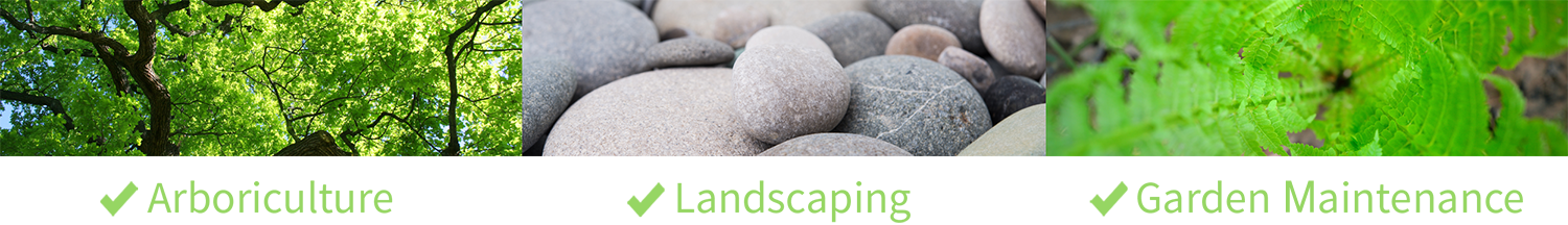 Expert landscaping, building and property maintenance in Dunedin