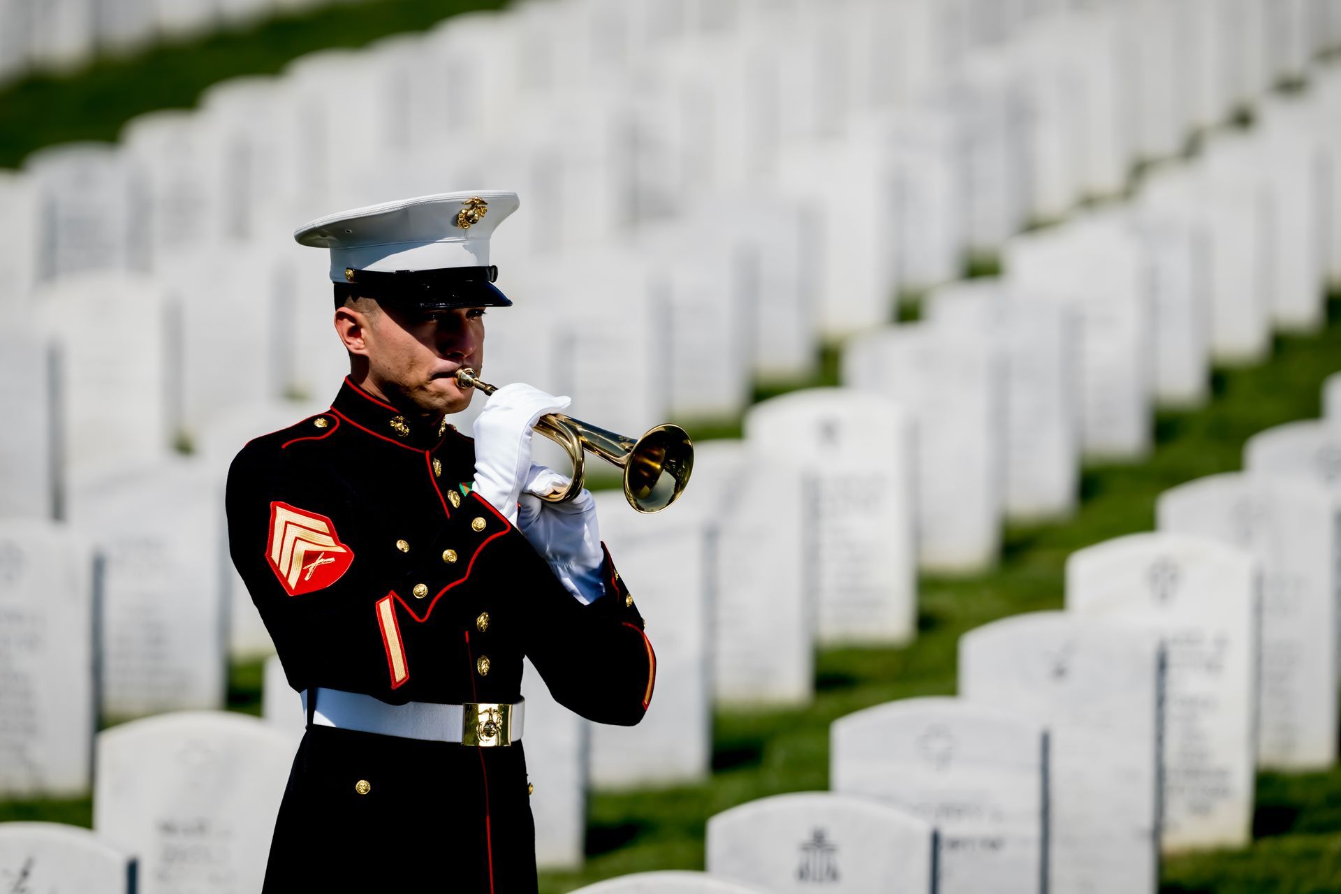 Marine bugler playing at a cemetery among rows of white headstones