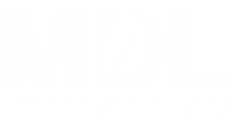 Modern Day Landscaping