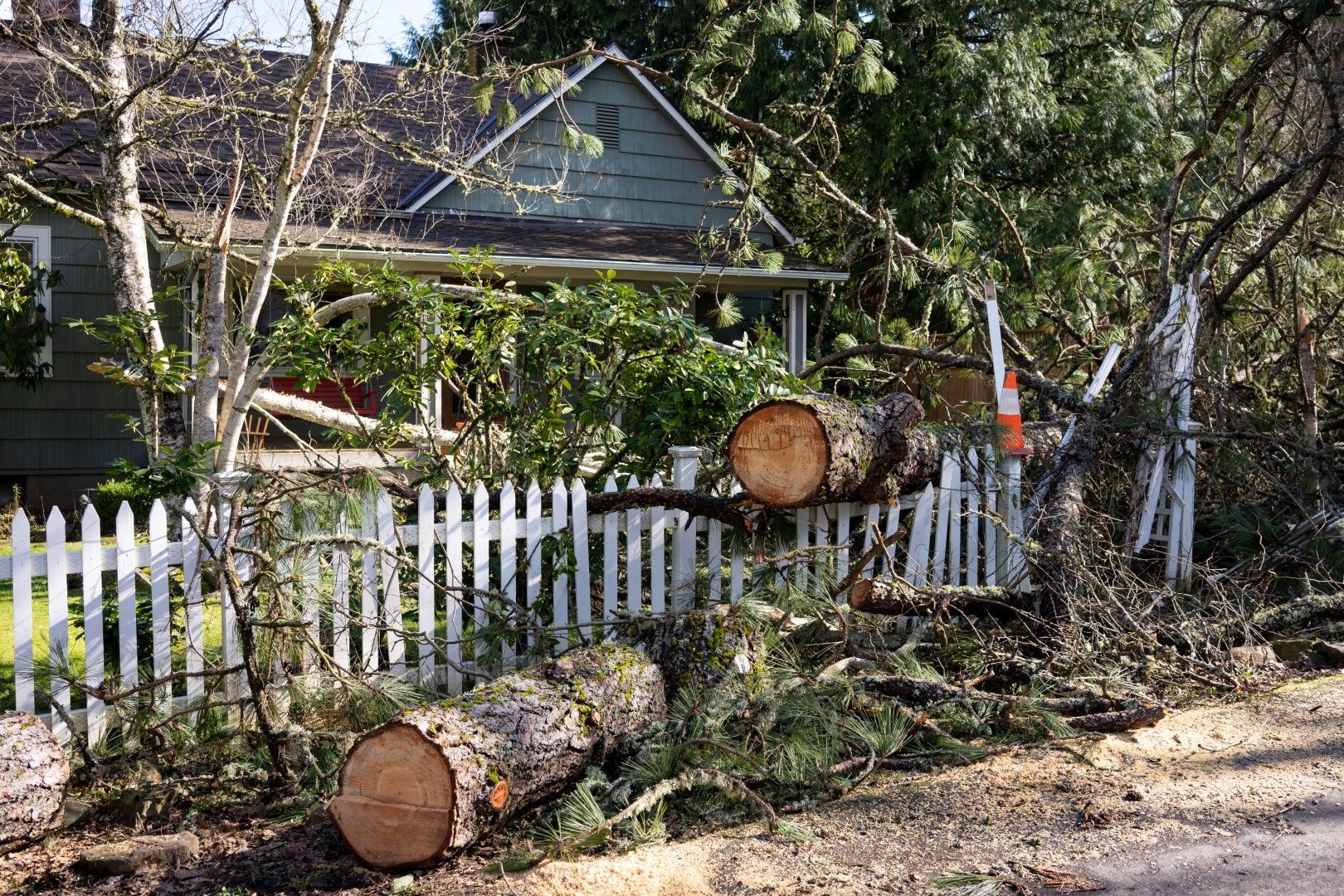 Tree trunks and branches fallen over a white picket fence, near a house with green siding.