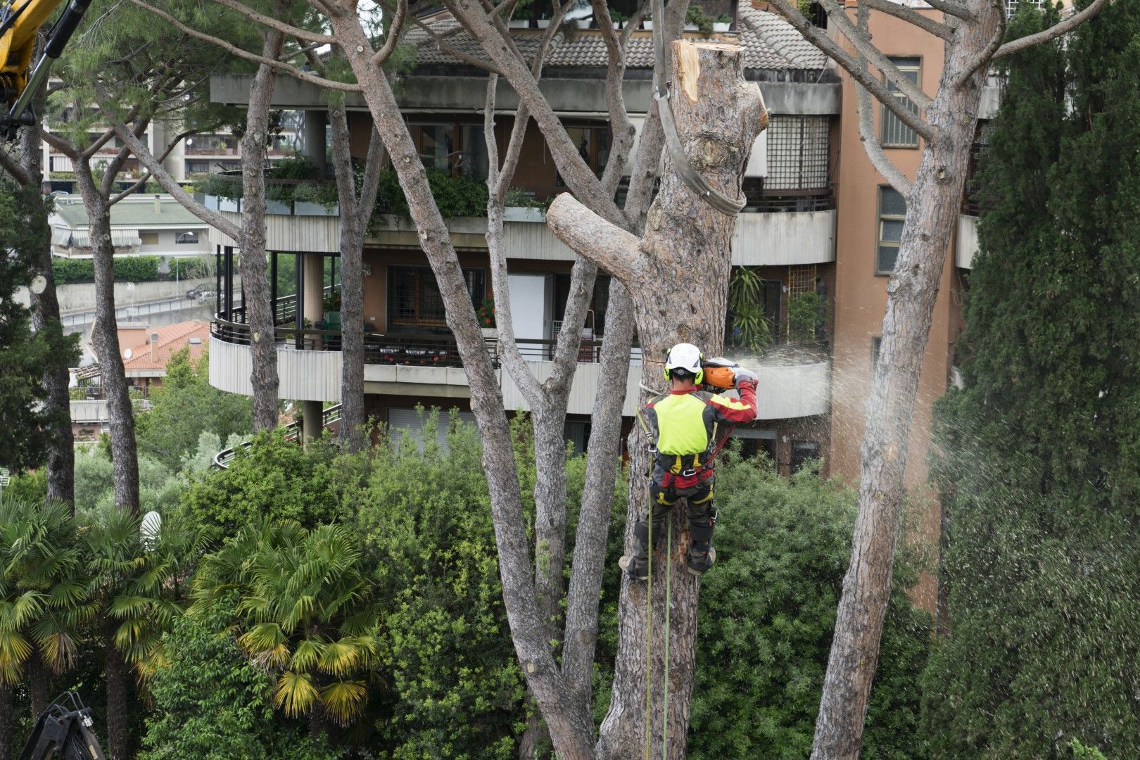 A tree worker, wearing safety gear, cuts a tree branch with a chainsaw near a building.