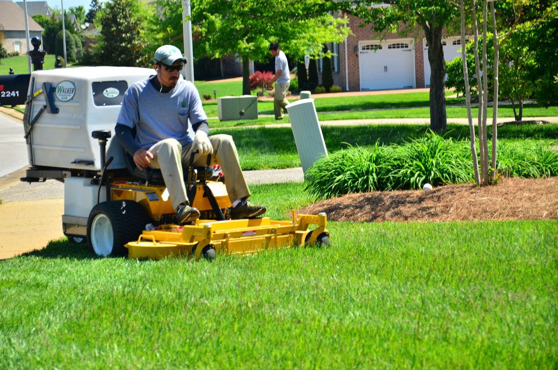 A vibrant, newly laid green lawn carpet contrasts beautifully with the stone pavement in a backyard on a sunny day.