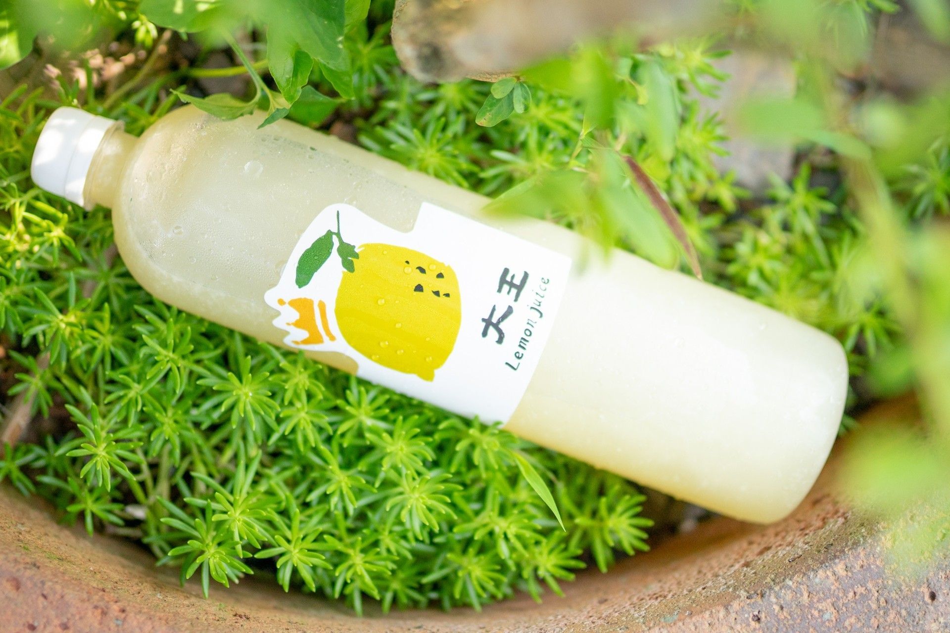 大王招牌檸檬汁-完美比例