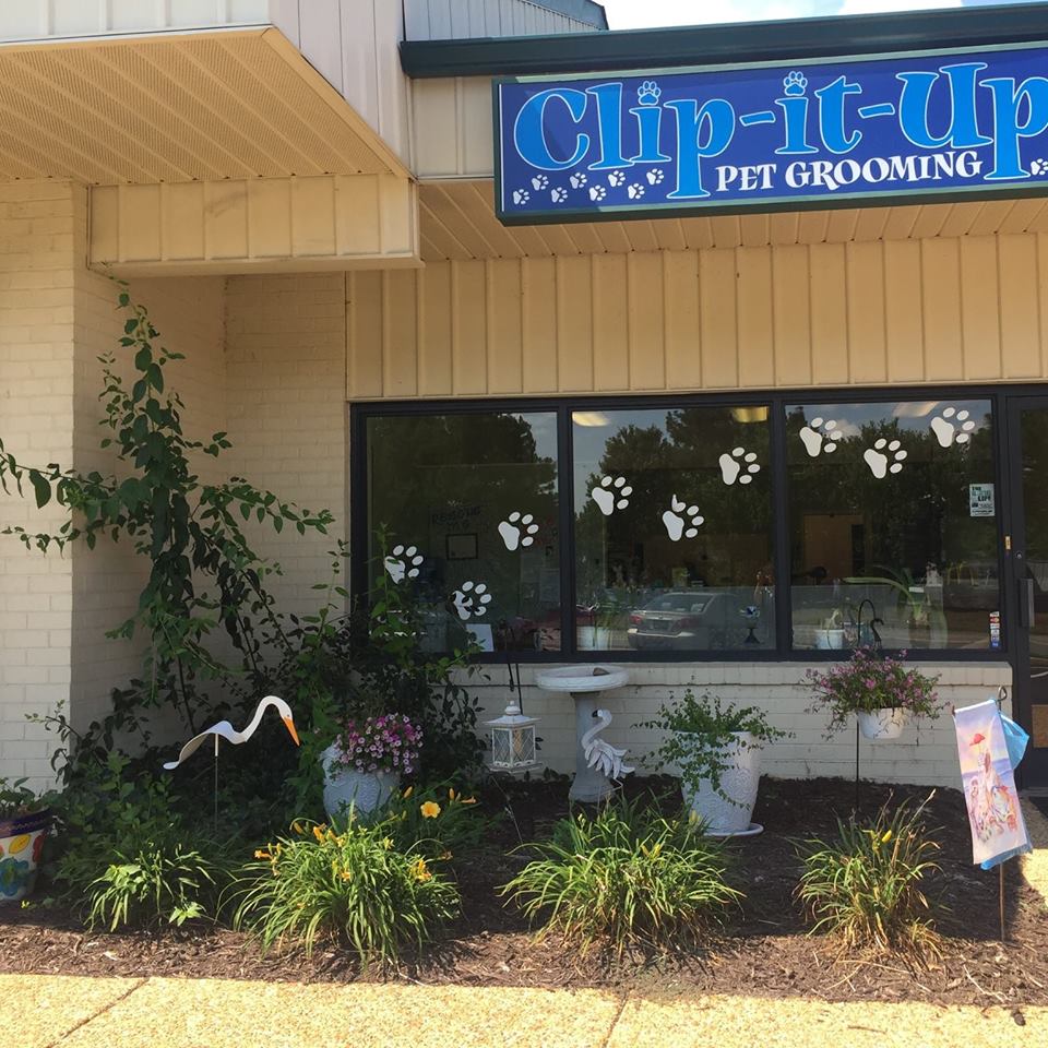 Pet Groomer|Williamsburg, VA | Clip It Up Pet Groomer|Williamsburg, VA | Clip It Up