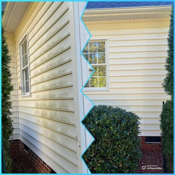 Before and after comparison of siding. Left side shows green algae; right side is clean.