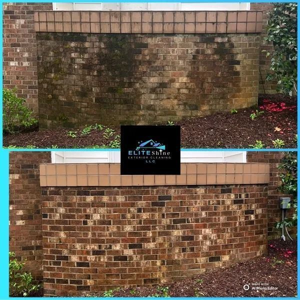 Before-and-after of a brick wall cleaned, top half showing algae and dirt, bottom half clean and refreshed.