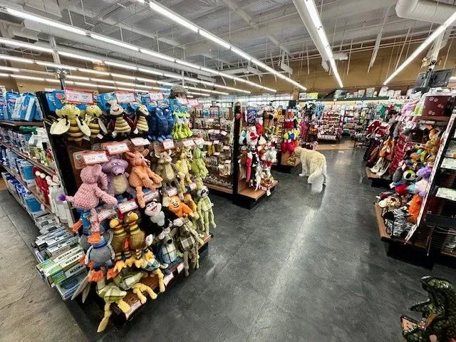 Dog toy store, aisle lined with colorful toys and products. Dog stands in center.