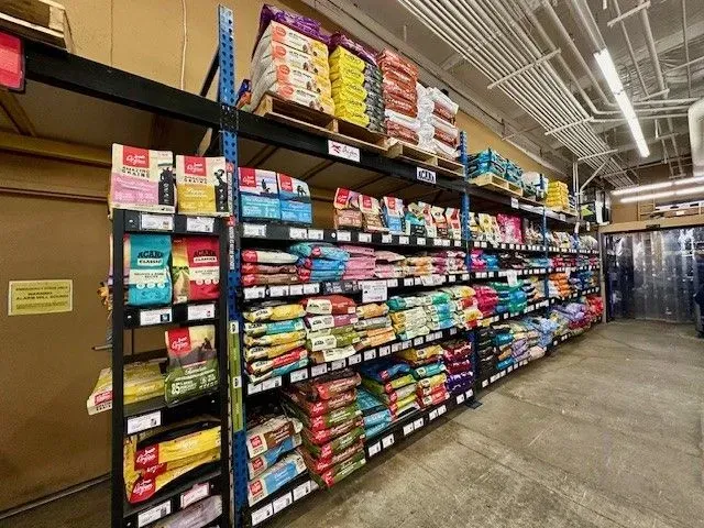 Shelves stocked with pet food bags in a store. Brightly colored packaging.