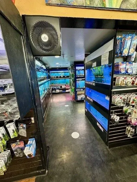 Interior view of a fish store with aquariums, products on shelves, and a fan overhead.