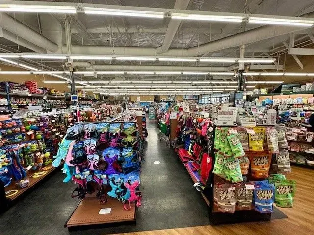 Interior of a pet store, with shelves of products, tanks, and signs. Wooden floors and various pet supplies.