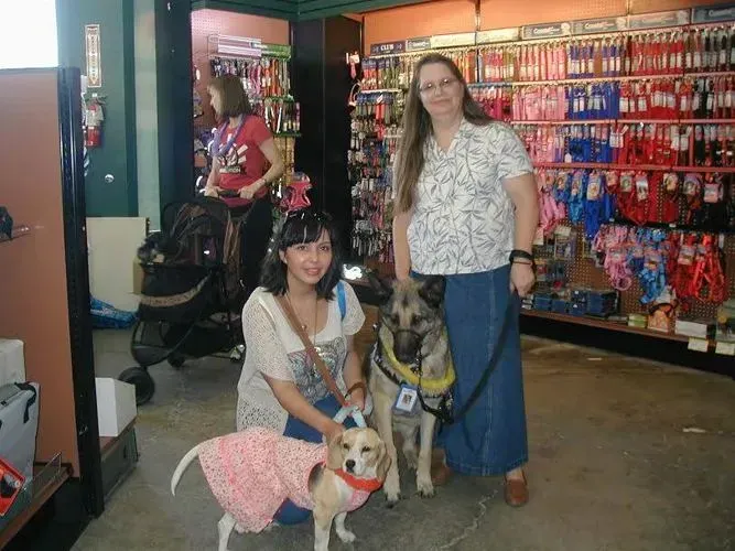 Two women and two dogs in a pet store. One dog wears a pink dress. The other dog has a service dog vest.