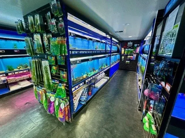 Inside of a pet store, tanks of fish line walls, artificial plants hang from shelves, and blue lights illuminate the space.