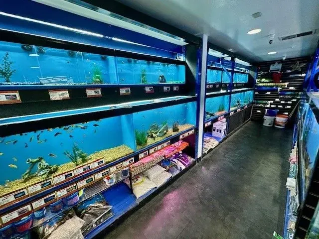 A fish store interior with several aquariums filled with fish and decor, blue walls, and supplies for sale.