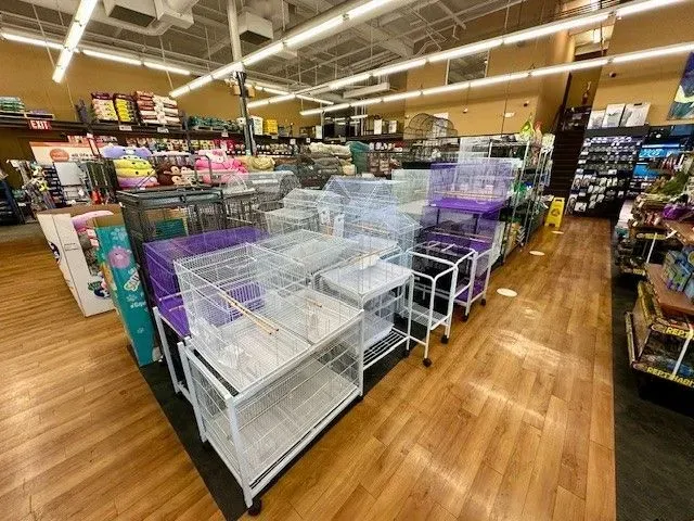Rows of bird cages in a brightly lit pet store.
