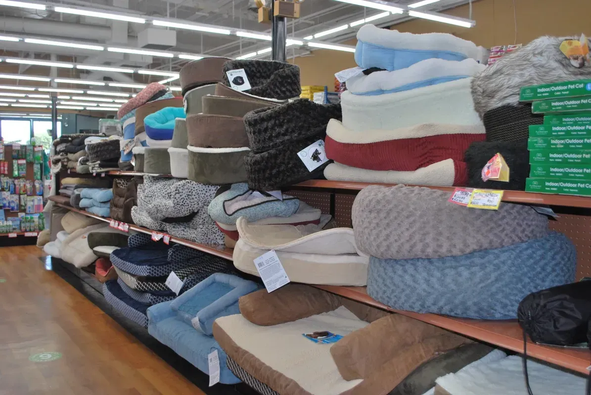 Shelves stocked with various dog beds in a pet supply store. Different colors and styles are visible.