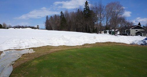 2014 was one of the harshest Winters in History! First day turf cover was removed!