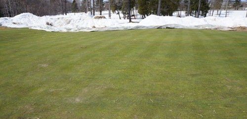 2014 was one of the harshest Winters in History! First day golf green cover was removed!
