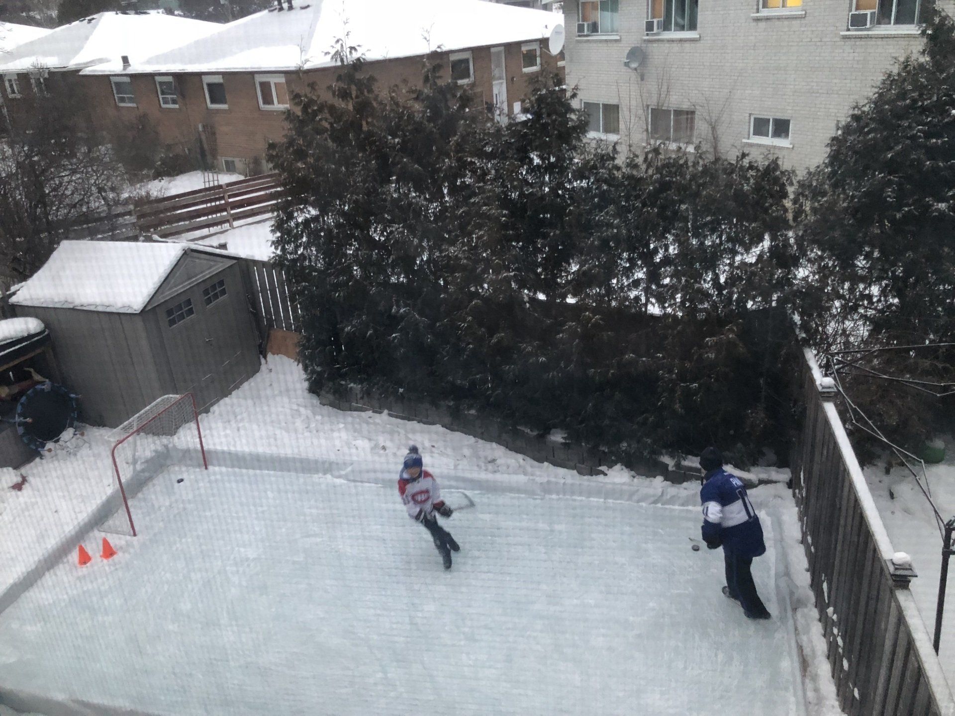Review on Cover-Tech back yard ice skating rink liners